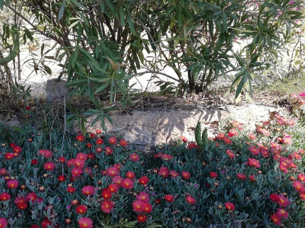 Perfect For Exploring Local Areas And More Torrevieja Exterior photo